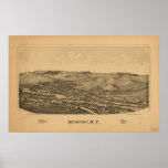 Herkimer (Newport) NY 1890 Antique Panoramic Map Posters