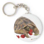 Hermann Tortoise and Strawberries keychains