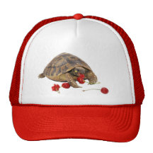 Hermann Tortoise and Strawberries Mesh Hats