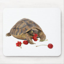 Hermann Tortoise and Strawberries Mousepad