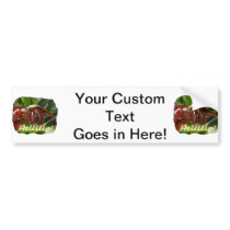 Hermit Crab and Help text , funny animal design