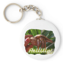 Hermit Crab and Help text , funny animal design