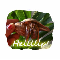 Hermit Crab and Help text , funny animal design