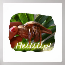Hermit Crab and Help text , funny animal design Poster