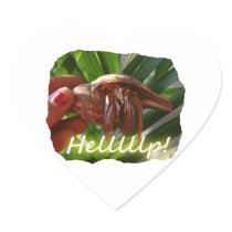 Hermit Crab and Help text , funny animal design