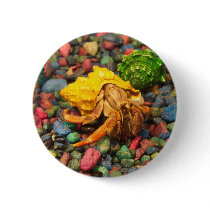 Hermit Crab Button 01