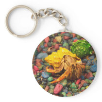 Hermit Crab Keychain 01
