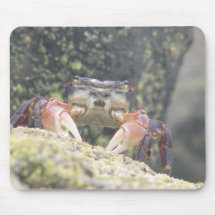 Hermit Crab Mouse Pads