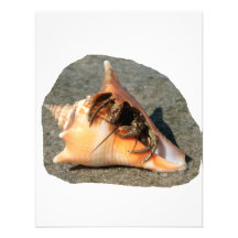 Hermit Crab on Sand Coming out of shell Personalized Announcements