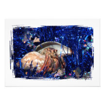 Hermit crab with blue Christmas Holiday tinsel Personalized Invitations