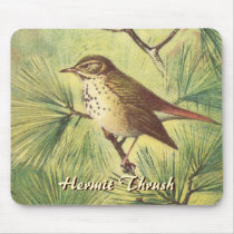 Hermit Thrush Mousepad