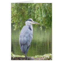 Heron by a lake Card