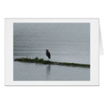 Heron Card