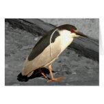 Heron - Card