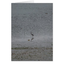 Heron Card