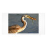 Heron fishing customized photo card