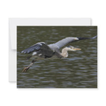 Heron Fly Past Custom Invites