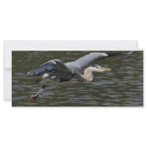 Heron Fly Past Rack Card