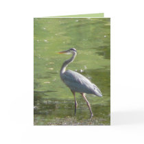 Heron Green Greeting Cards