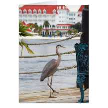 Heron Greeting Cards