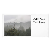 Heron in the Mist Customized Photo Card