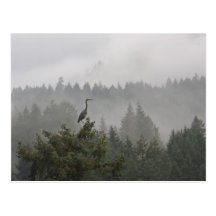 Heron in the Mist Postcard