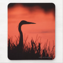 Heron mousepads