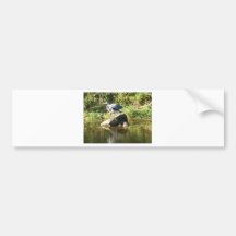 Heron on a rock bumper stickers