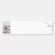 Heron on the Beach - Florida Bumper Sticker