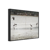 Heron Party Canvas Print