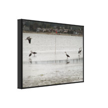 Heron Party Canvas Print