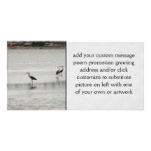 Heron Party Personalized Photo Card