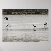 Heron Party Posters