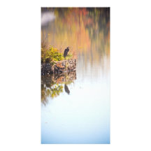 heron picture card