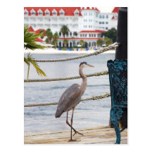 Heron Postcards