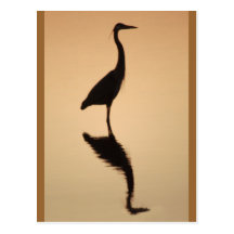 Heron Silhouette Postcard