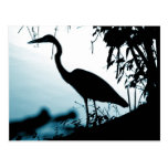 Heron Silhouette Postcard