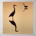 Heron Silouette posters