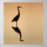 Heron Silouette posters