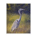 Heron Stretched Canvas Print