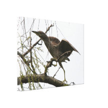 Heron Stretched Print Canvas Prints