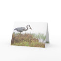Heron with Fish Card
