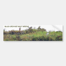 Herons Bumpersticker Bumper Sticker