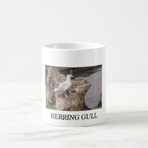 HERRING GULL MUG