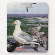 Herring Gulls on Rocky Shoreline Mousepad
