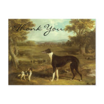 Herring's Greyhound and Spaniel; Doctor Fop