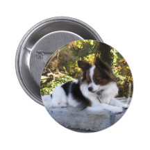 Hershey Kiss Hero Kennel Merchandise Pinback Button