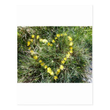 Herz aus Blumen Postkarte