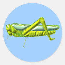 Heuschrecke grasshopper sticker
