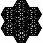 Hexagon Magnet Photo Sculpture photo sculptures